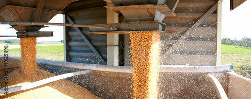 stockage des céréales en silo photo