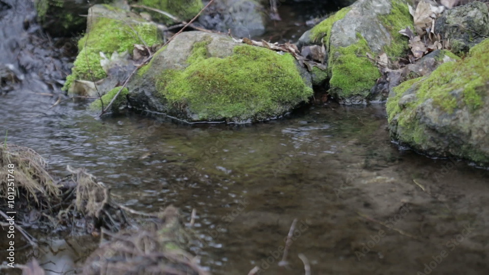 mountain streams mountain streams