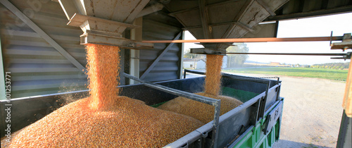 Fotografie, Tablou Silo à grain et transport camion du blé