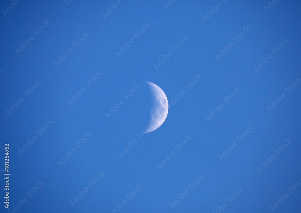 moon in skies moon in skies