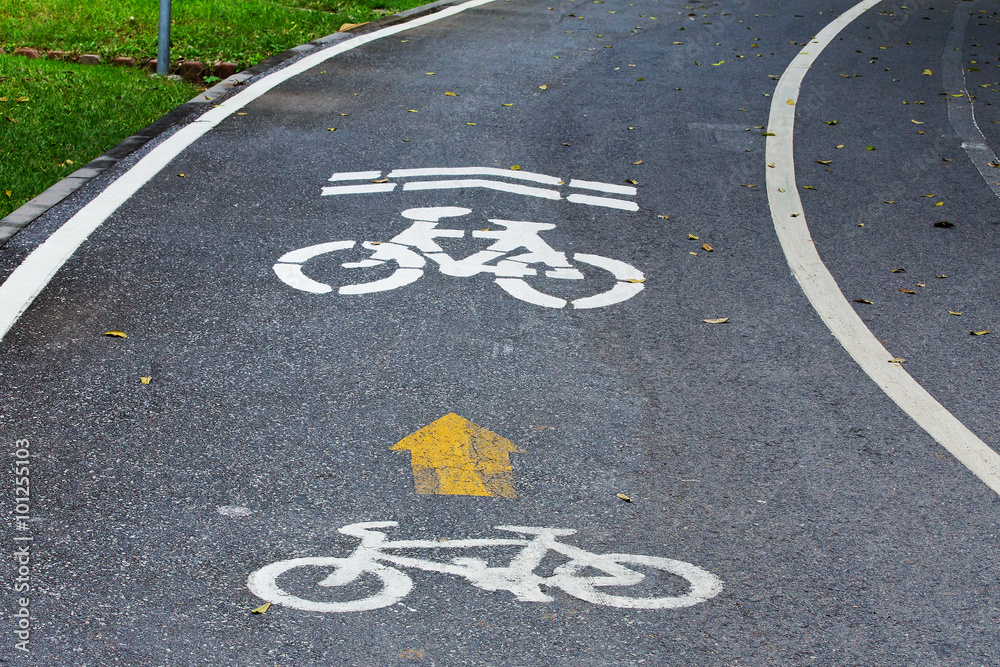 Fototapeta premium Bicycle path