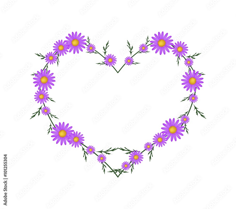 Beautiful Violet Daisy Flowers in Heart Shape