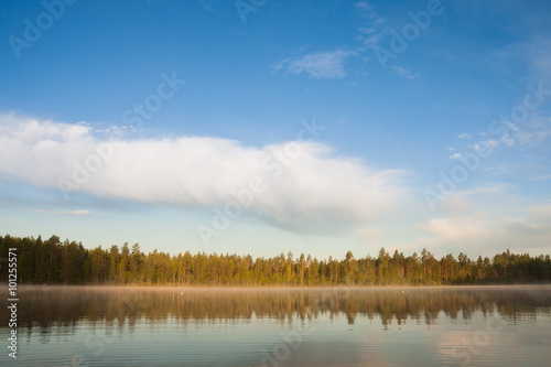 Forest lakeside landscape at summer morning