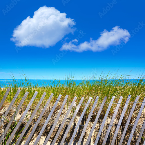 Canvas Print Cape Cod Sandy Neck Beach Massachusetts US