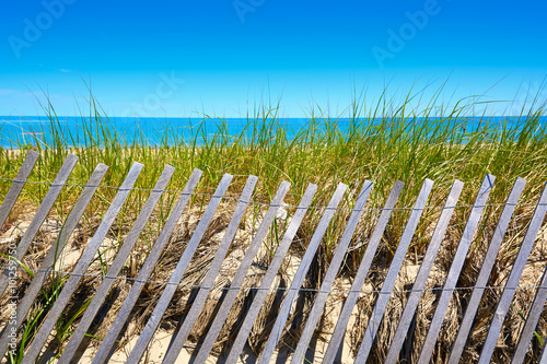 Cape Cod Sandy Neck Beach Massachusetts US photo