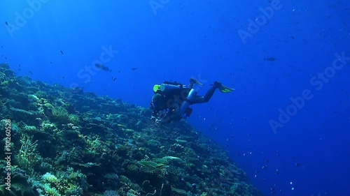 Wallpaper Mural Rebreather diver on a coral reef with plenty fish Torontodigital.ca