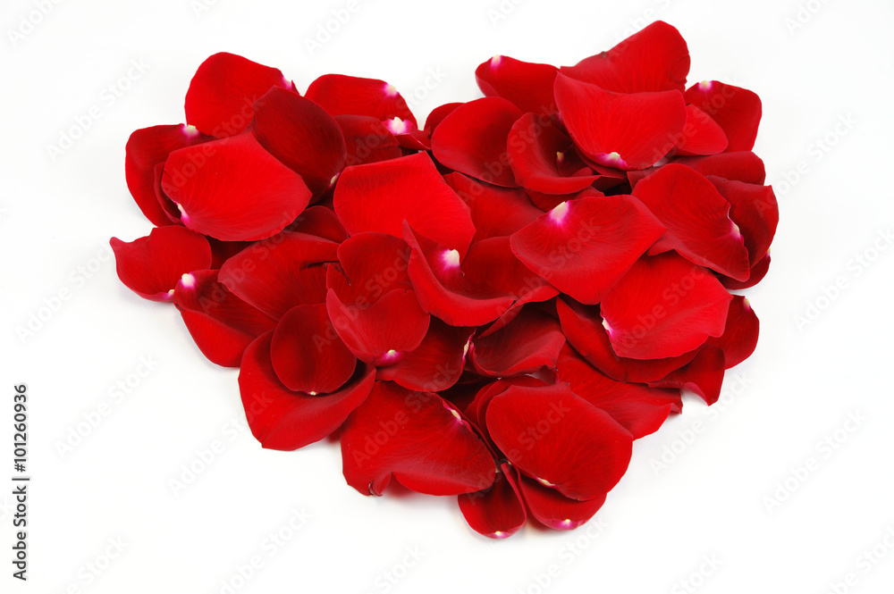 red heart shape by red rose petals red heart shape by red rose petals