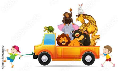Wild animals on the pick up truck