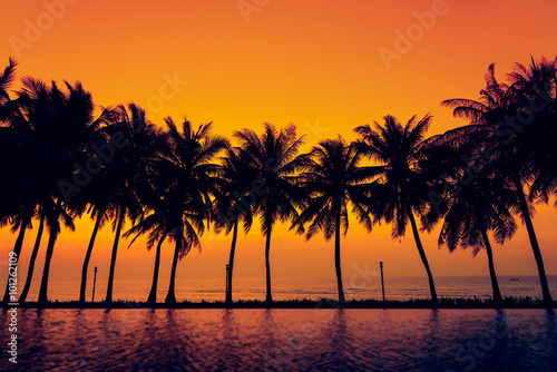 Sunset with silhouette Palm trees .