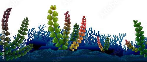 Seamless underwater scene with seaweeds