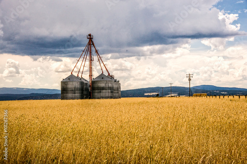 Grain Bins on a Stormy Day