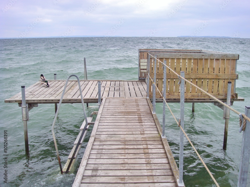 Two ducks resting on a wooden bathing pier on the eastcoast of Sealand, (Sjælland), Denmark