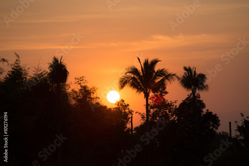 silhouette tree in sunset at rural of Thailand