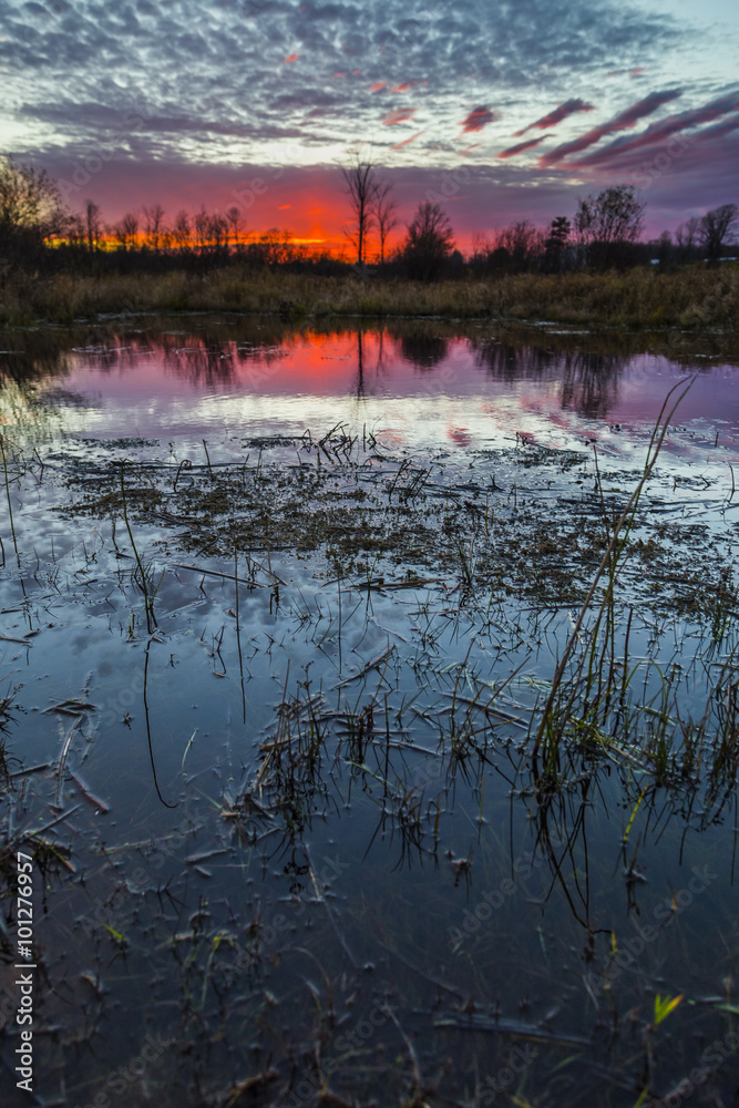 Obraz premium colorful rural sunset scene in late autumn