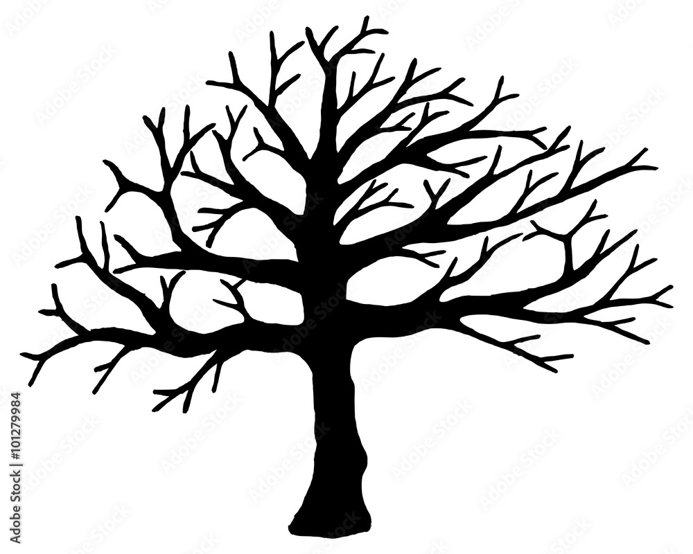 Obraz premium Tree vector isolated on white background.