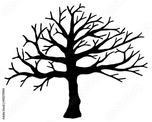 Tree vector isolated on white background.