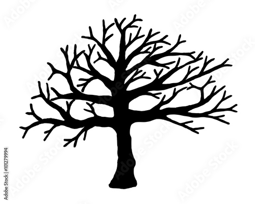 Tree vector isolated on white background.
