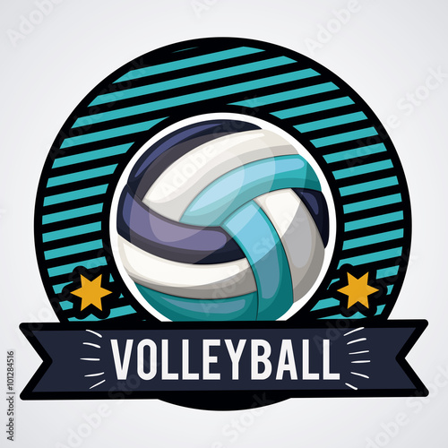 volleyball league design 