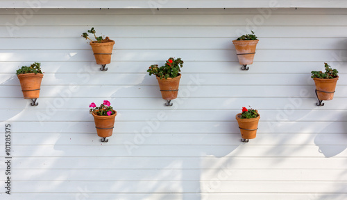 Fototapeta Naklejka Na Ścianę i Meble -  Flowerpots Hung on an Exterior Wall