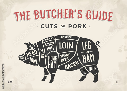 Cut of meat set. Poster Butcher diagram, scheme and guide - Pork. Vintage typographic hand-drawn. Vector illustration.