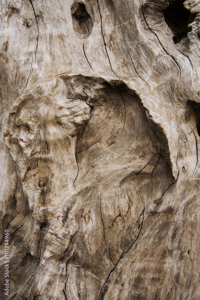 Wood Background Texture Wood Background Texture