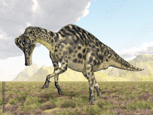 Dinosaur Velafrons