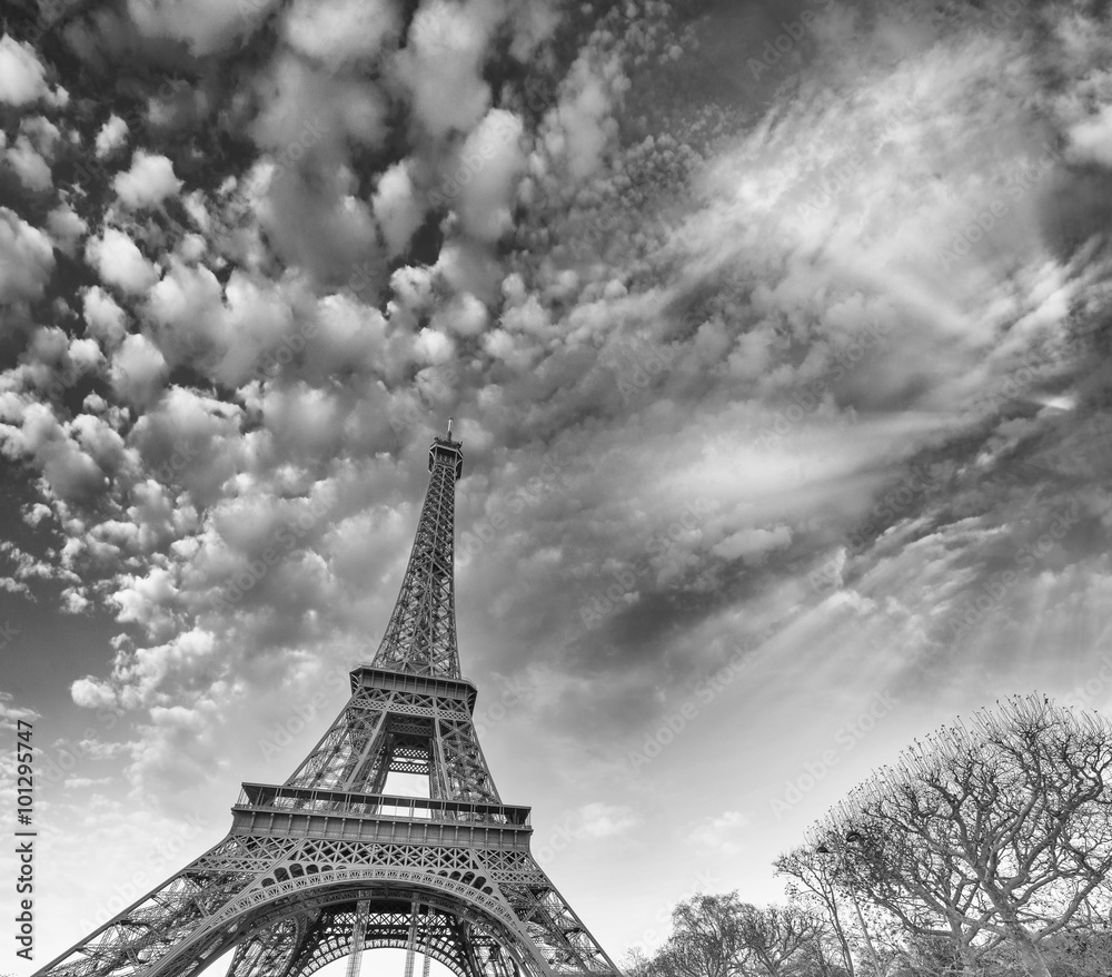 Black and white view of Eiffel Tower in Paris, France