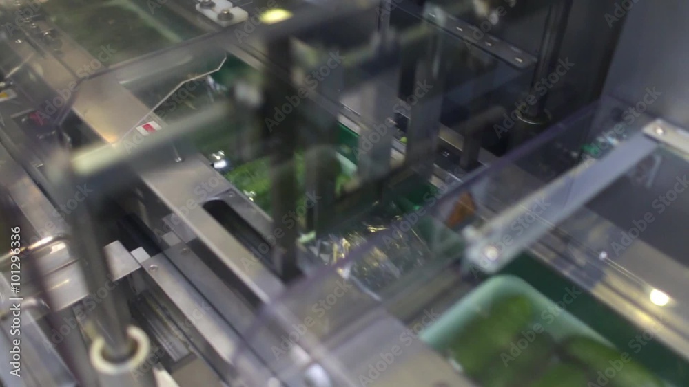 Packaging machine for cucumber at factory Packaging machine for cucumber at factory