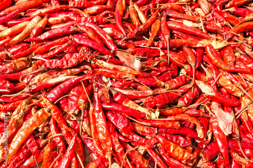 Thai chili red pepper closeup - Colorful vegetable