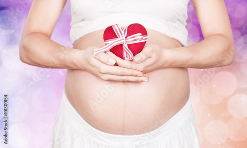 Wallpaper Mural Human Pregnancy. Torontodigital.ca