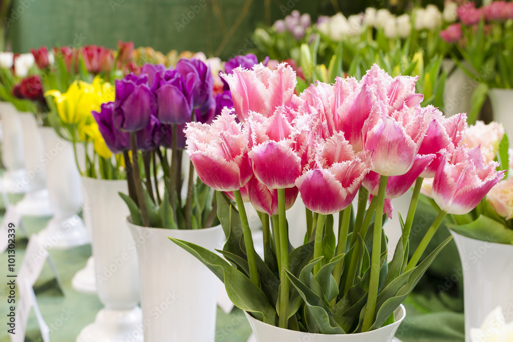 Fototapeta premium Tulips in vase