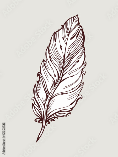 Vector graphic, artistic, stylized image of quill