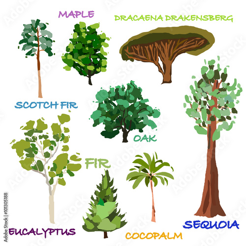 Hand drawn trees 