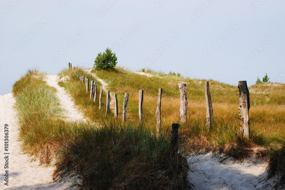 Weg zum Strand an der Ostsee