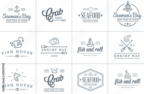 Set of Vector Sea Food Elements and Sea Signs Illustration can be used as Logo or Icon in premium quality