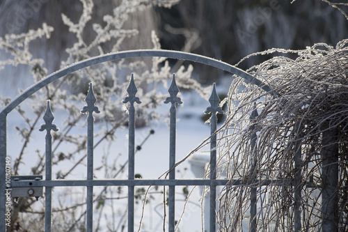 hek met sneeuw photo