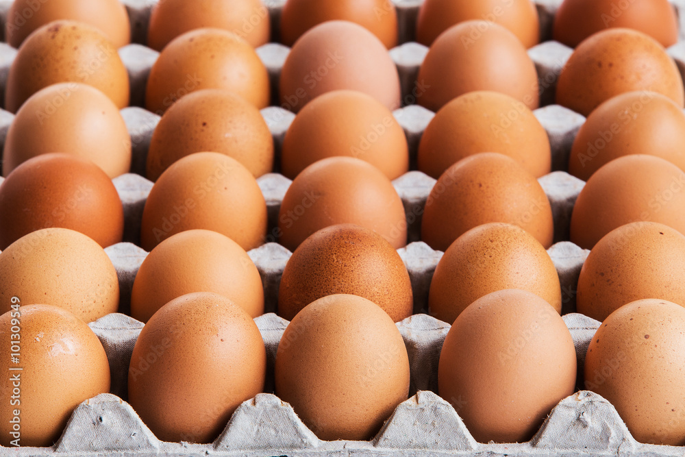 Eggs in panel Eggs in panel