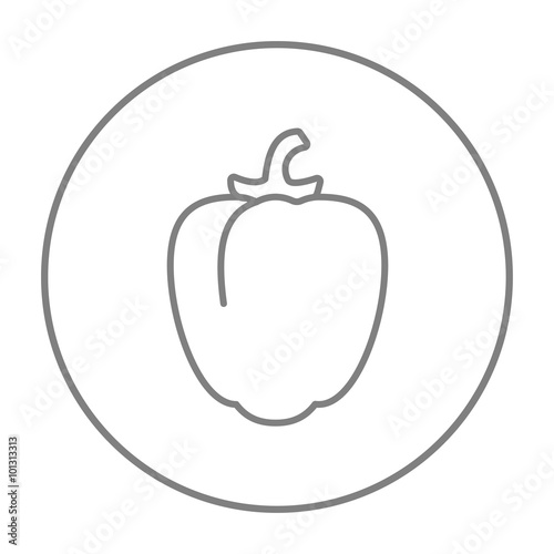 Bell pepper line icon.