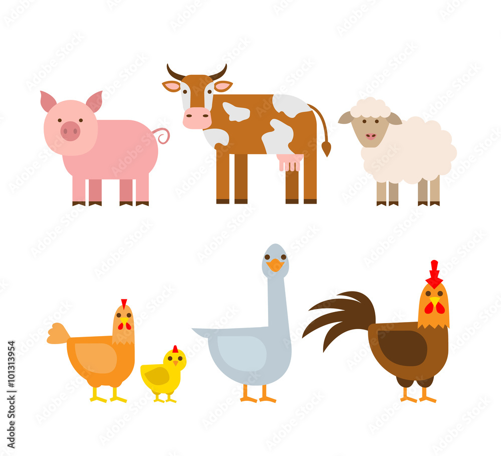 farm animals set,pig cow sheep hen chicken goose rooster isolated on white background