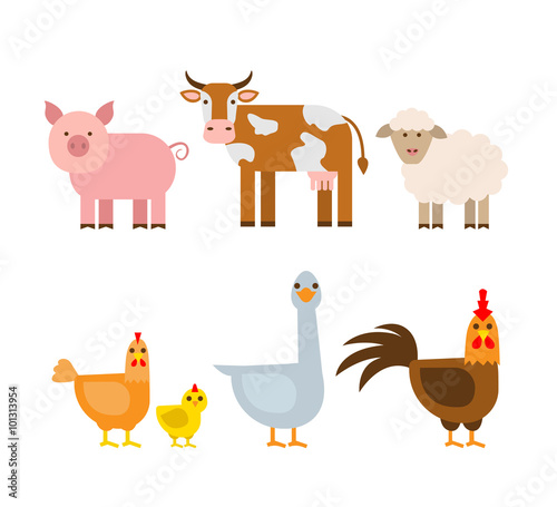 Fototapeta Naklejka Na Ścianę i Meble -  farm animals set,pig cow sheep hen chicken goose rooster isolated on white background