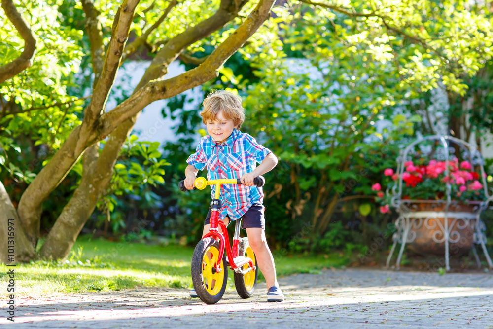 kid boy driving tricycle or bicycle in garden kid boy driving tricycle or bicycle in garden