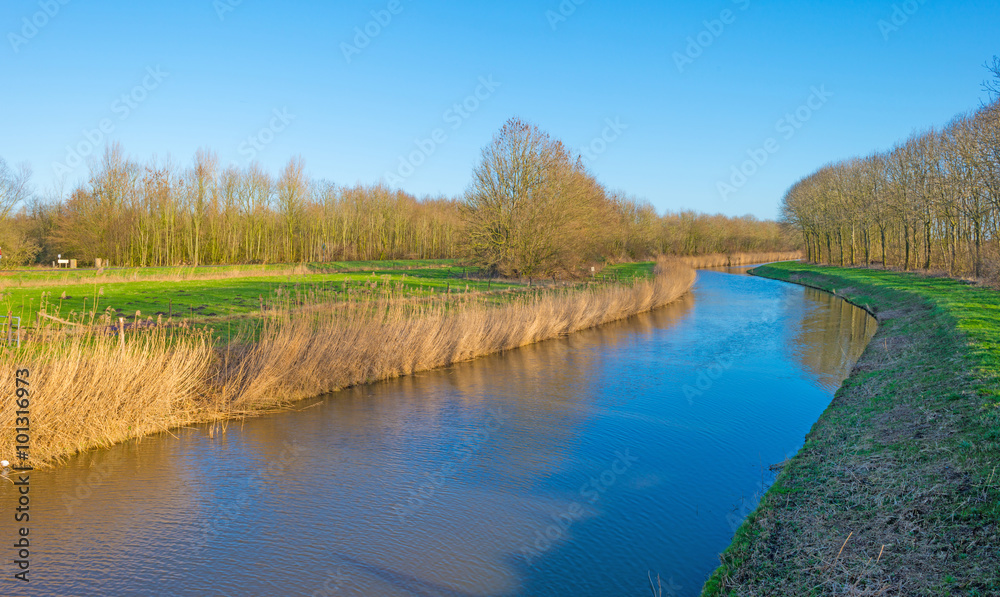 Canal through a sunny landscape in winter