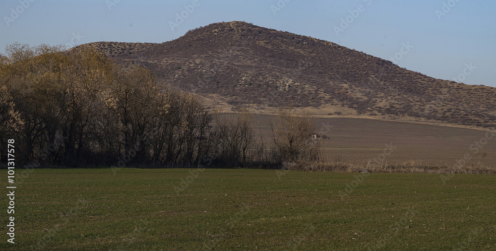Gentle wooded hill and a wide field in the foreground