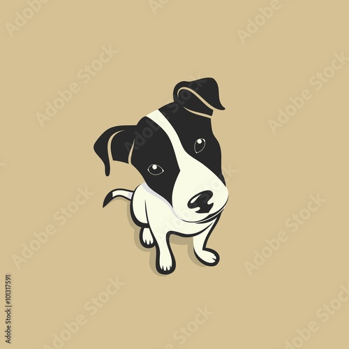Jack Russell Terrier