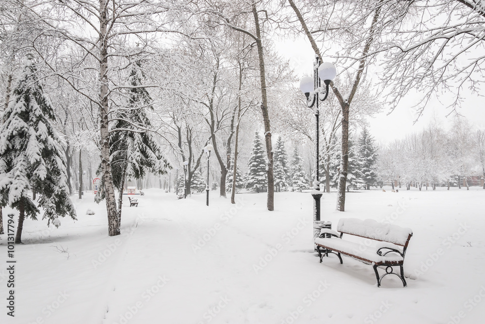 Snowy Landscape with Benches