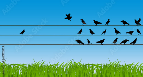 Business concept of individual independence, determination, ment