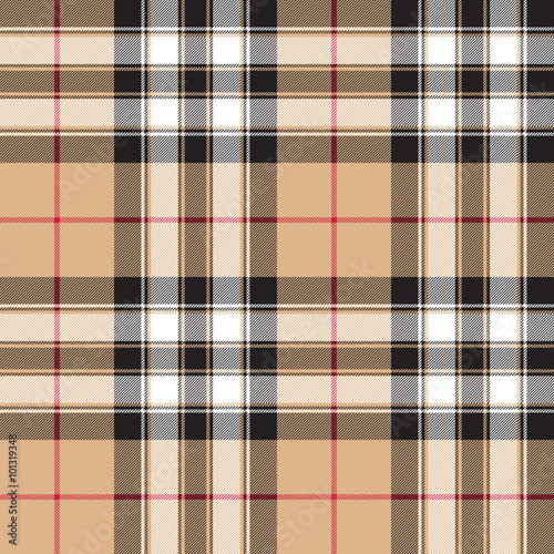 Pride of scotland gold tartan fabric texture background seamless photo