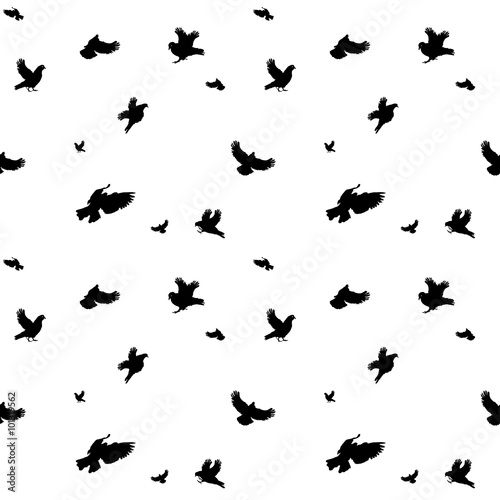 Birds Flying in Air. Seamless Pattern. Vector Illustration. © olegganko