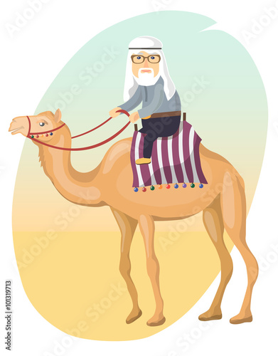 Bedouin on a camel
