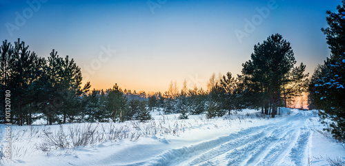 Beautiful winter forest with snow-covered road